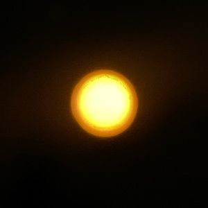 Meet your Posher, Tomas